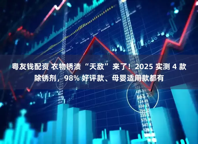 粤友钱配资 衣物锈渍 “天敌” 来了！2025 实测 4 款除锈剂，98% 好评款、母婴适用款都有